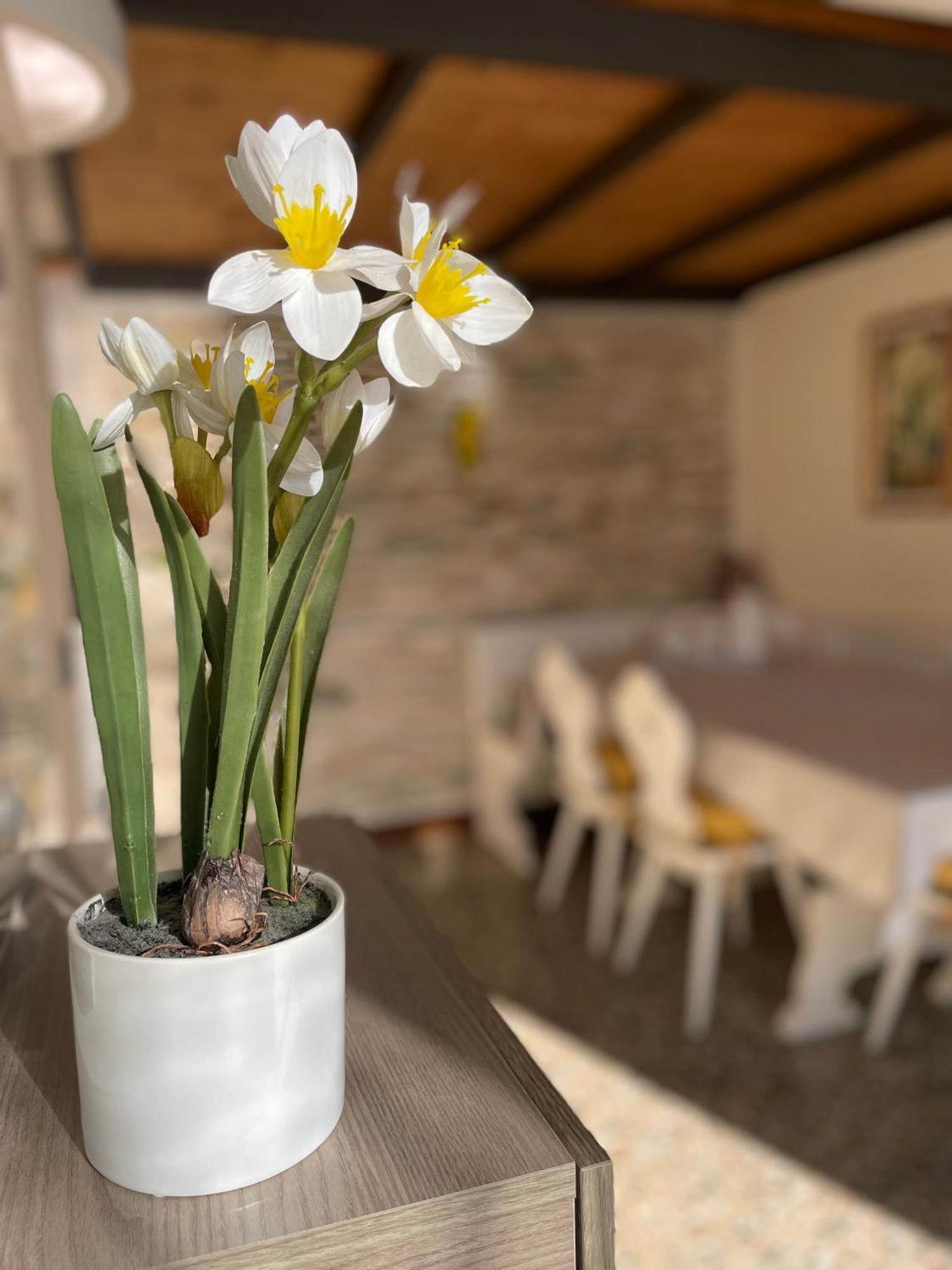 Elena Casa Turistica Apartment Падуа Екстериор снимка